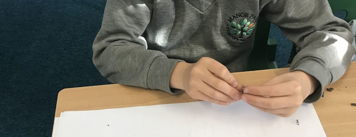 Blog Header Image