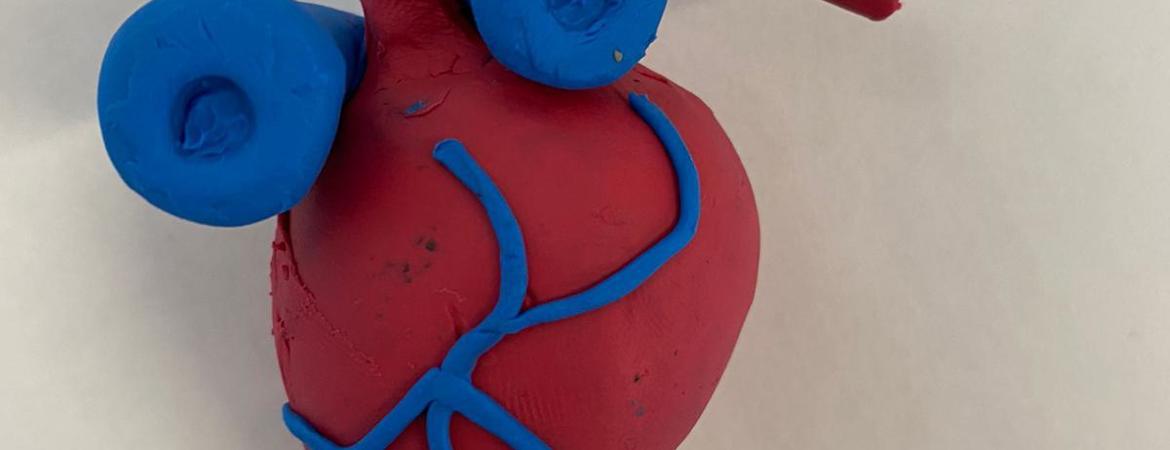 Blog Header Image