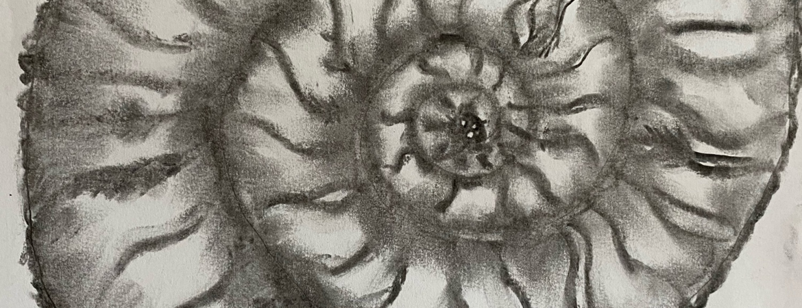 Blog Header Image